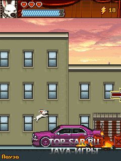 Free download java game Bolt on your mobile phone! Image №4