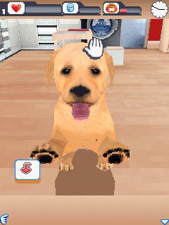 Free download java game Dogz 3D on your mobile phone! Image №2