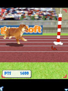 Free download java game Dogz 3D on your mobile phone! Image №3