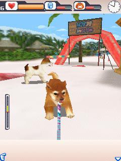 Free download java game Dogz 3D on your mobile phone! Image №4