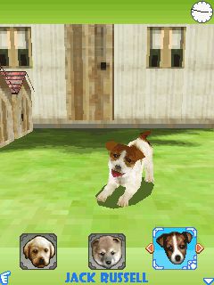 Free download java game Dogz 3D on your mobile phone! Image №5