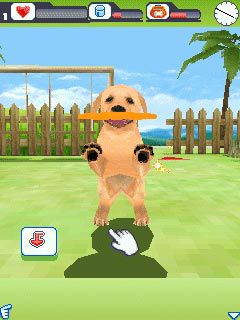 Free download java game Dogz 3D on your mobile phone! Image №6