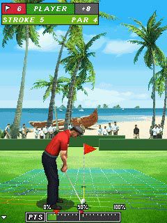 Free download java game Pro Golf 2010. World Tour on your mobile phone! Image №5