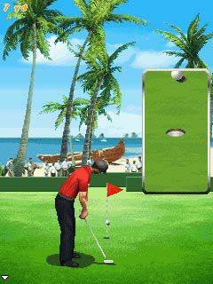 Free download java game Pro Golf 2010. World Tour on your mobile phone! Image №6
