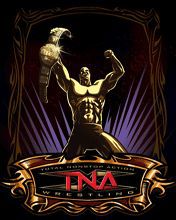 Free download java game TNA Wrestling on your mobile phone!