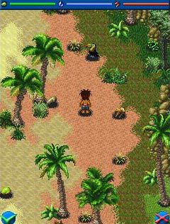 Free download java game Robinson Crusoe: Shipwrecked on your mobile phone! Image №3