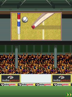 Free download java game Cricket T20 World Championship on your mobile phone! Image №5