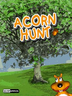 Free download java game Acorn Hunt on your mobile phone!