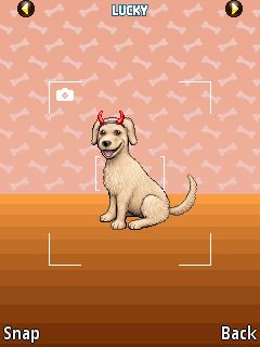 Free download java game My Pet Store on your mobile phone! Image №3