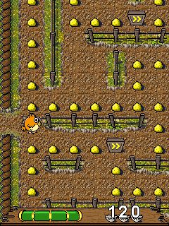 Free download java game Funny Chicken on your mobile phone! Image №3