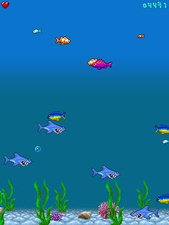 Free download java game AquaLife on your mobile phone! Image №4