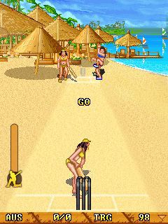 Free download java game Sexy cricket on your mobile phone! Image №3