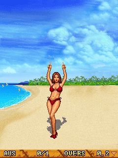 Free download java game Sexy cricket on your mobile phone! Image №4