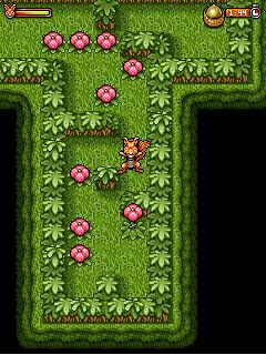 Free download java game Nuts on your mobile phone! Image №4