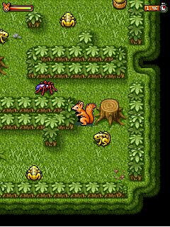 Free download java game Nuts on your mobile phone! Image №5