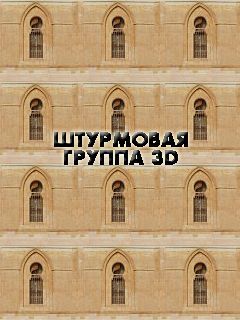 Free download java game Assault group 3D on your mobile phone!