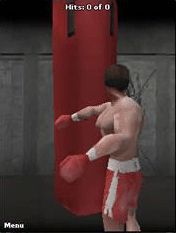 Free download java game Rocky 3D: Apollo's fall on your mobile phone! Image №2