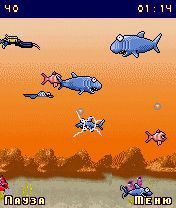 Free download java game Shark fishmageddon: Close water on your mobile phone! Image №3