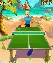Free download java game Beach Ping Pong on your mobile phone! Image №3