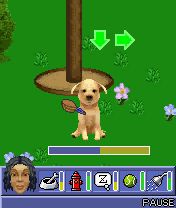 Free download java game The Sims 2: Pets on your mobile phone! Image №2