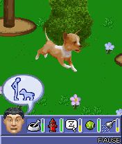 Free download java game The Sims 2: Pets on your mobile phone! Image №4